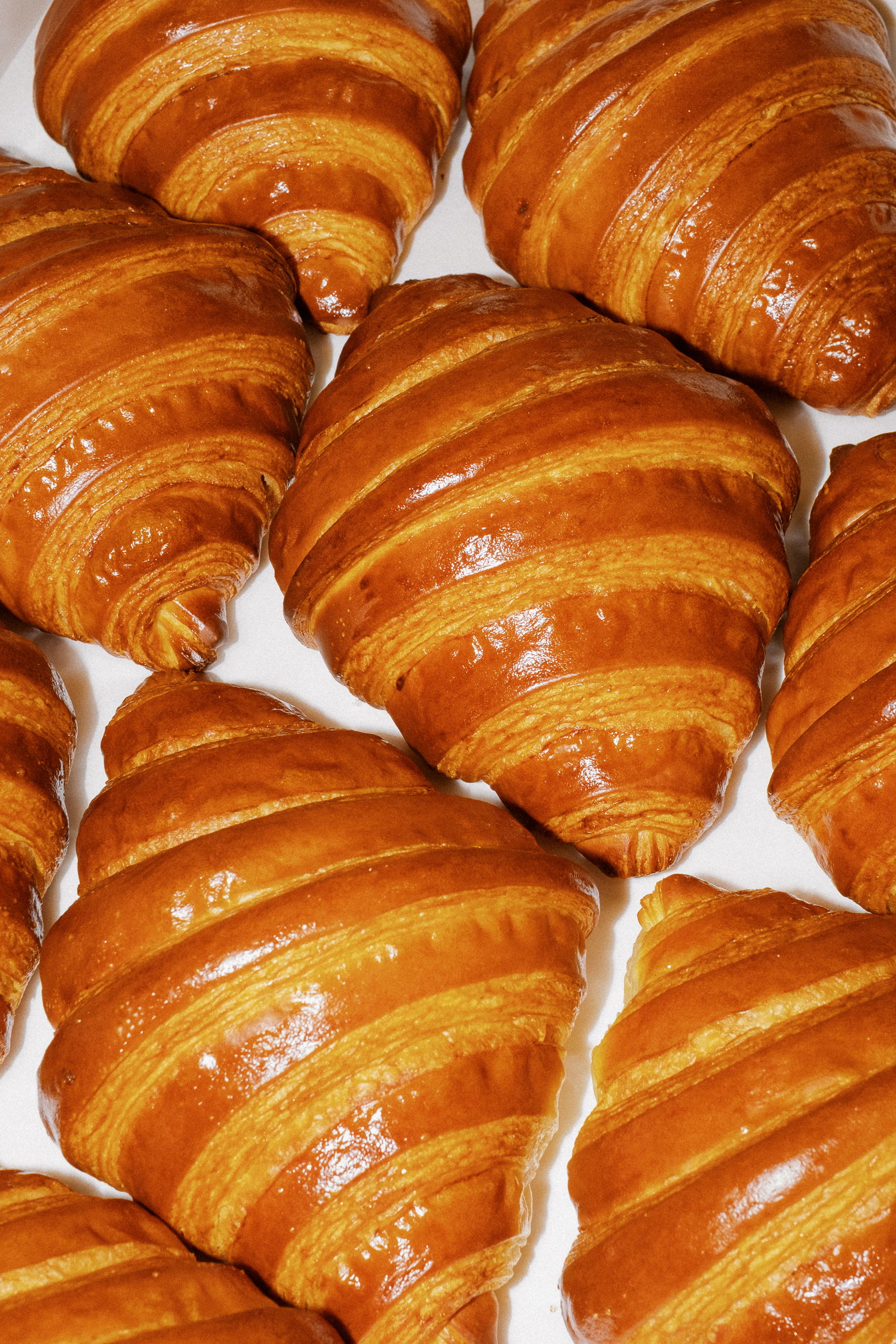 Lotu Bakehouse
